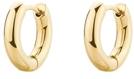 Brosway Orecchini Donna a Cerchio in Acciaio | Orecchini A Cerchio | Collezione PERFECT - BPC43