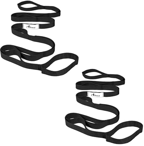 Abiarst Dehnungsgurt Yogagurt für Physiotherapie, 10 Schlaufen Yogagurte zum Dehnen, nicht elastischer Stretchgurt für Pilates, Flexibilität, Übung, Stretchband für Frauen & Männer