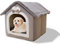 Galatée Katzenhöhlenbett, Waschbares Hundebett, Warmes Und Gemütliches Plüschkatzen-Iglu, Faltbares Komfortables Haustier-Katzenhaus, Haustierbett Mit Rutschfestem Boden(S, Graues Kaninchen)