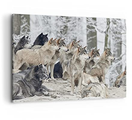 ARTTOR Wandbilder Dekoration Wohnzimmer Rudel Wölfe Winter Bilder auf Leinwand 120x80cm Leinwandbild Schlafzimmer Küche Deko Wand Kunstdruck Art Groß XXL Wanddeko Bild Wall Decor Canvas AA120x80-4357