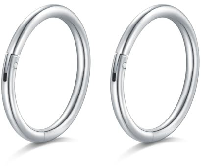 AceFun Nasenpiercing 20g Silber Nasenpiercing 8mm für Frauen Männer Edelstahl Scharnier Clicker Segment Nasenpiercinge Hoop Helix Knorpel Daith Tragus Sleeper Ohrringe Silber Nose Studs