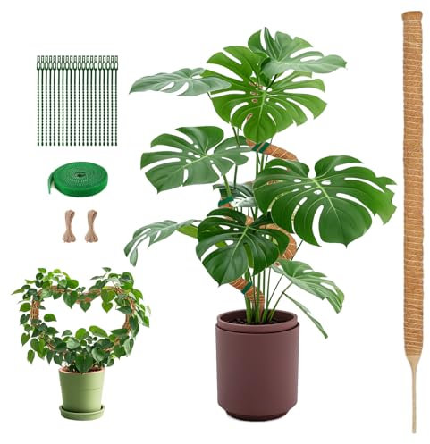SZMDLX 160CM Schwer Moosstab, Rankhilfe Zimmerpflanzen Kokosstab Pflanzenstab, Pflanze Unterstützt Indoor Biegbar Monstera Rankhilfe, Moosstab für Monstera mit Hanf Seil & Kabelbinder & Pflanze Band