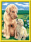 Ravensburger Peinture par numéros 28476 - Mère Amour - pour Enfants à partir de 7 Ans - Lot de 18 pièces