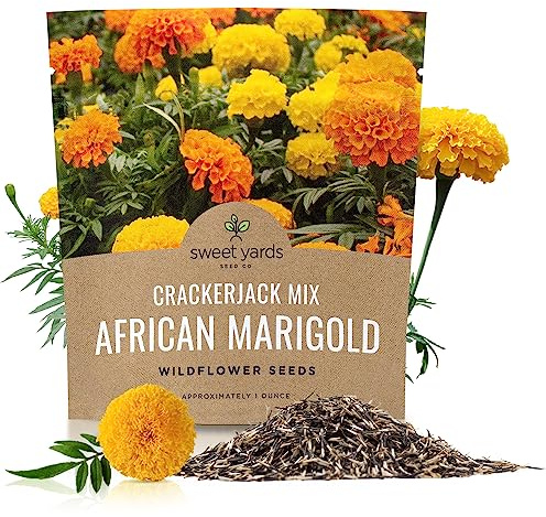 Sweet Yards African Marigold Seeds Mix Crackerjack Mix - Bulk 1 Ounce Packet - Over 10,000 Seeds - Huge Orange and Yellow Blooms - Adaptable to All US Regions - Pollinator Friendly