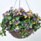 Homescapes Hängende Künstliche Stiefmütterchen im Topf, Künstliche Hängepflanze im Weide Blumenampel mit Kette und Haken, Hängende Viola Kunstpflanze im Hängeampel, lila und gelb