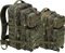 BWuM US Assault Pack Cooper Rucksack, Large (50L), Flecktarn