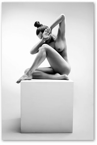 Postereck - 3089 - Nackte Frau, Sexy Erotik Brust Schwarz Weiss - Erotisch Sexy Nackt Wandposter Fotoposter Bilder Wandbild Wandbilder - Leinwand - 60,0 cm x 40,0 cm