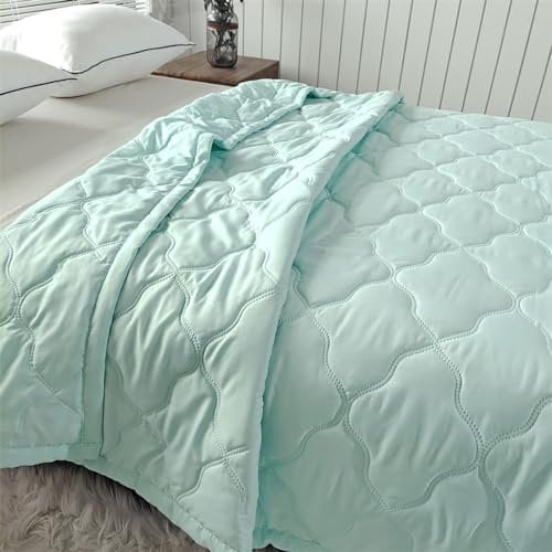 DOTBUY-SHOP Quilted Bedspreads, Solid Colour Quilt Bed Throws Cotton Filling Duvet Super King Single Double Size Children's Bed Quilted Throw for All Season (200x230cm,Mint Green)
