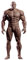 1/12 Männliche Action Figur, 6inch Super Flexible Starke Muscler Männliche Figur Comic Figuren Körper Sammlung