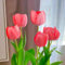 Seltene und schöne Tulpen, mehrjährige, winterharte Blumenzwiebeln, dekorative Blumen für den Garten, leuchtend gefärbt und einfach zu züchten-10 zwiebeln-E