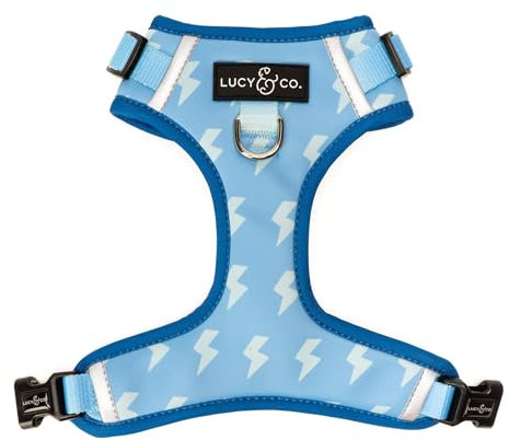 Lucy & Co. The Bolt of Lightning Hundegeschirr, kein Ziehen, Größe M, Blau / Grün – Weste gegen Ziehen und Gehen – bequemes Trainingsprodukt für die Leine mit verstellbaren Brust- und Nackengurten