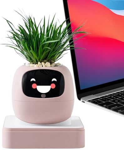 Dewireaey Maceta Inteligente | Jardínera Inteligente De Múltiples Expresiones,Tiesto Pequeño para Cactus - para Interiores Principiantes Día de la Madre Jardín Balcón Dormitorio Salón
