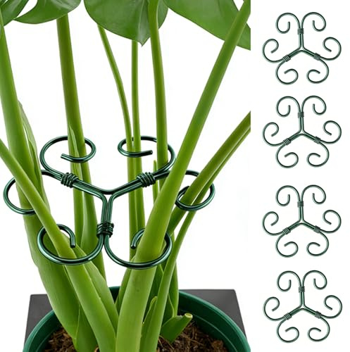 KERYBW 4 Stück Pflanzenstütze, Metall Monstera Rankhilfe, Rankhilfe Zimmerpflanzen, Pflanzenhalter für Blumen, Rosen, Tomaten