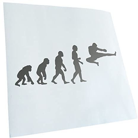 - Autoaufkleber - Evolution Kampfsport Fight Aufkleber für Auto, Laptop, Fahrrad, LKW, Motorrad mehrfarbig JDM Decal Racing