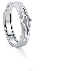 LODMLOER Modischer, Frostiger, Verstellbarer Ring Mit Sternzeichen-Design, Damen/Herren-Horoskop, Himmlisches Astrologie-Set, Damen-Modeschmuck, Geburtstagsgeschenk, Bild, Fische