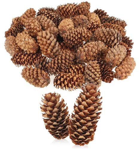 com-four® 50x Piñas Decorativas - Decoraciones dispersas para otoño e Invierno - Decoraciones de Conos - Piñas pequeñas - Decoraciones navideñas Naturales - Decoraciones de Mesa (50x piñas pequeñas)