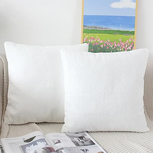 NIULAA Weich Weiß Kissenbezug 40x40 2er Set Deko Kissenbezüge Flauschig Chenille Kissenhülle Aesthetic Sofakissen Dekokissen Wohnzimmer Sofa Kissen Bezüge Zierkissen Outdoor Balkon