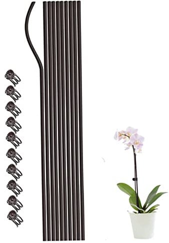 10Pcs Plant Support Sticks Garden Stakes with 10 Orchid Plant Clips 19.7 Inch Tall Single Stem Flower Garden Stakes Plant Sticks for Plant Climbing