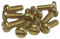 M4 x 10mm Brass Pan Head Machine Screw for Conduit Box - Pack of 100