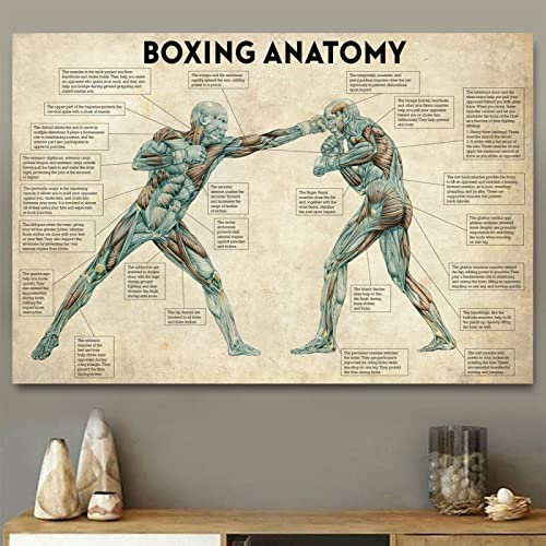 TANYANG Vintage Boxing Body Anatomy Poster Prints Moderne Wandkunst Leinwand Malerei Boxing Lover Gift Gym Room Decor Home Decoration 60X90Cm Kein Rahmen