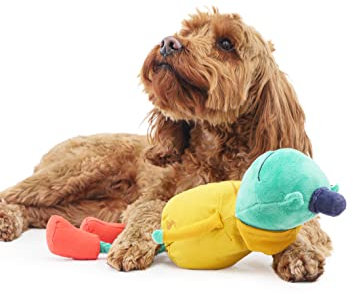 Rosewood Joules Frog Dog Toy