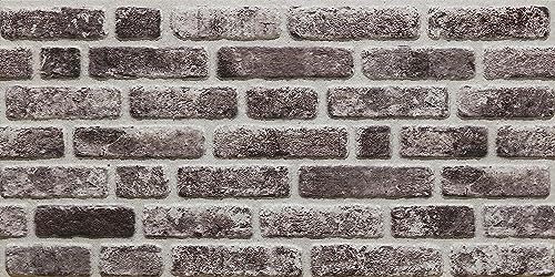 Grace Baltic, 3D Wandpaneele Ziegel Optik Wandpaneele Steinverkleidung Styroporverkleidung Wohnzimmer Küche Badezimmer Balkon Schlafzimmer Rückseite Theke Teras (689-043) x5