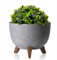 HowHomely Deko Blumentopf mit 3 Beinen Hoch 15 cm - Grau Blumenübertopf - Langlebige und Leichte Übertopf 25 cm Durchmesser für Wohnzimmer Garten oder Terrasse