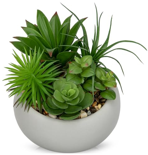Arborus Piante grasse artificiali in vaso per interni, mix di piante grasse finte in vaso di cemento, pianta finta realistica in vaso per davanzale della finestra, tavolo da ufficio, casa, bagno