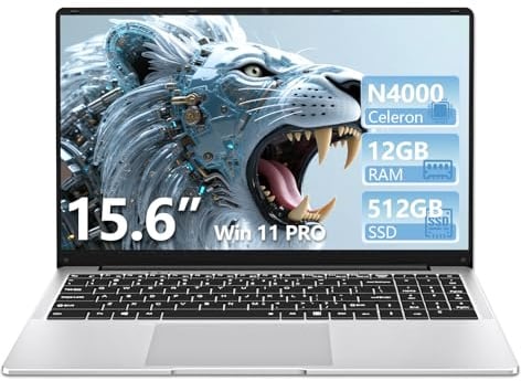 15.6 pollici Notebook, Win11 PC Portatile Celeron N4000 CPU, Laptop 12GB LPDDR4 RAM 512GB SSD, Schermo IPS FHD 1920*1080, USB3.0+BT4.2+Mini HDMI, TF Card Slot Supporta Espansione Fino a 1 TB