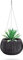 Prosperplast Beton Bowl WS aus Kunststoff mit Behälter in Zementfarbe Schwarz, 21,8 (H) x 37 (T) cm