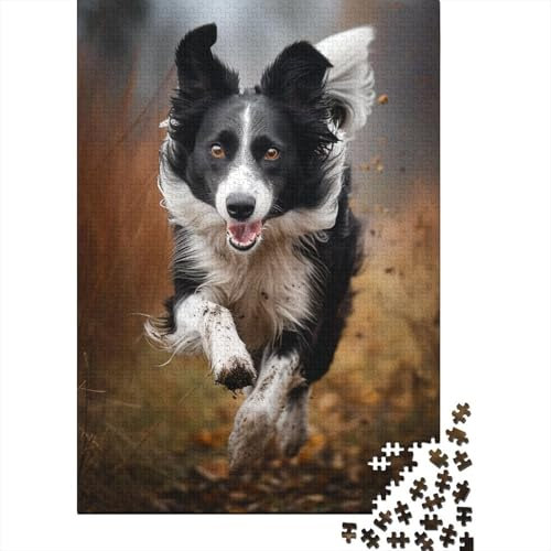 Puzzle Border Collie 1000 pièces pour Adultes et Adolescents, Puzzle en Bois pour Adultes, 1000 pièces (75 x 50 cm)