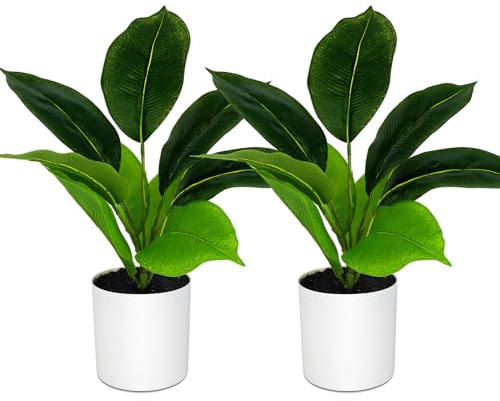 ADORAMOUR Artificial Plants in Pots - Set of 2 Fake Rubber Trees, 40cm Tall Fake Ficus Elastica Potted in White Pot, Faux Indoor Greenery for Home Office Desk Shelf Bathroom & Living Room Decor