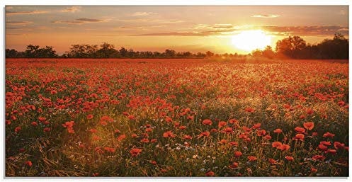 ARTland Wanddeko Glasbilder Wandbild Glas Bild einteilig 100x50 cm Querformat Natur Landschaft Blumen Mohnblumen Feld Sonnenuntergang Blumewiese S6AM