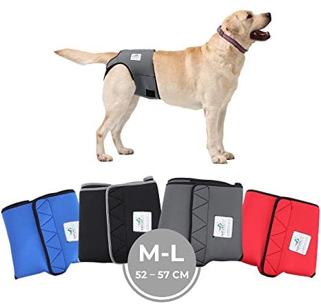 Nature Pet Läufigkeitshose für Hündinnen - Hundewindel für Rüden - Kein lästiges Einfädeln der Rute - Inkontinenz Hundehöschen (M-L-Grau)