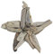 Etoile de mer en Bois flotté 20x20cm - Décoration Murale
