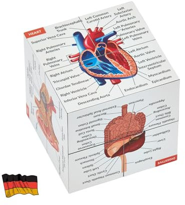 Menschliche Anatomie Studienwürfel AUF DEUTSCH | 9 Teile des menschlichen Körpers lernen | Anatomie Modellwürfel | Tolle Geschenkidee für Krankenschwestern und Medizinstudenten
