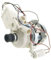 FIGEVIDA Motore Pompa C00078566-078566 Compatibile per INDESIT ARISTON - MOTOPOMPA Lavaggio per LAVASTOVIGLIE INDESCO 950R1I 75W 5 CONTATTI