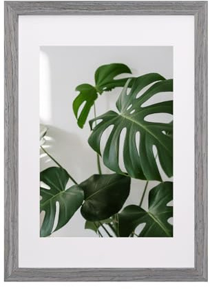 EGOFINE A3 Frame,100% Solid Wood Frame,A3 Picture Frames Matted for A4, A3 Photo Frame with Plexiglass,Certificate Frame for Table Top and Wall Mounting,29.7 X 42 cm Poster Frame, Light Gray
