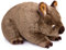 lilizzhoumax Wombat Kuscheltier Plüschtier Stofftier Wombat Kawaii Wombat Plüschtier Realistische Figur Spielzeug Super Weiches Geschenk für Kinder 28cm/11Zoll
