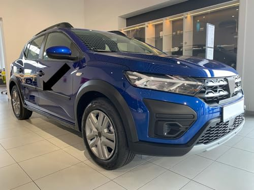 Seitenschutzleisten schwarz kompatibel mit Dacia Sandero Stepway III 3.Generation Typ DJF ab Bj. 2021- F3 (3700003)