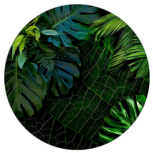 murando - Rond Papier peint Motif Rétro années - 140x140 cm Décoration Murale XXL Original Poster Tableaux Muraux Tapisserie Photo Trompe l'oeil - nature fleurs plantes jungle vert noir b-C-0224-bg-a