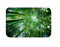 A.Monamour Badematten Badteppiche Badvorleger Sonnenschein Durch Grüne Bambus Bäume Wald Natur Landschaft Drucken Flanell Bad Teppiche Fußmatten Boden Teppiche Für Küche 40x120cm