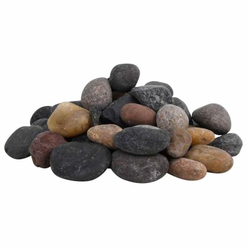 vidaXL Polierte Kiesel, Kieselsteine mit guter Drainage, Flusskiesel Zierkies für Aquarium Garten Dekoration, Dekosteine Gartenkies Glanzkies, Mehrfarbig 25 kg 5-8cm