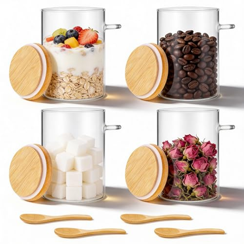 Hejo Tarros de Vidrio con Tapa Hermética Cuchara, 500ml/17oz, 4 Piezas | Botes Cristal Cocina, Frascos de Vidrio, Bote Cristal para Almacenar Alimentos Como Avena, Ensalada, Yogur, Té, Café y Azúcar