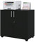 Panana 2 Door Wood File Cabinet With Lock, Office Storage Cupboard Lateral Filing Cabinet Organizer For Home Office (Black)