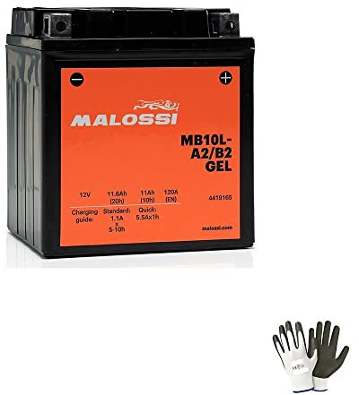 Compatible avec Yamaha XV Virago 125 de 1997 à 2002 Batterie en gel MALOSSI MB10L-A2/B2 déjà prête à l'emploi active batteries 11 Ah 12 volts moto scooter