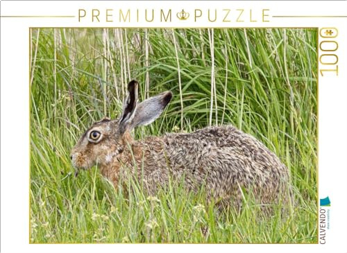 CALVENDO Puzzle Hase auf Einer Wiese (Feldhase) | 1000 Teile Lege-Größe 64 x 48 cm Foto-Puzzle für glückliche Stunden