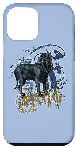 Harry Potter Fang Case for iPhone 12 mini