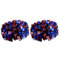 VIFER Pom Poms Cheerleader, 1 Paar, Cheerleading Pompons, Aerobic, Pompoms, Blumenkugeln, Pom Girl für Kinder, Frauen, Tanz, Sportspiele