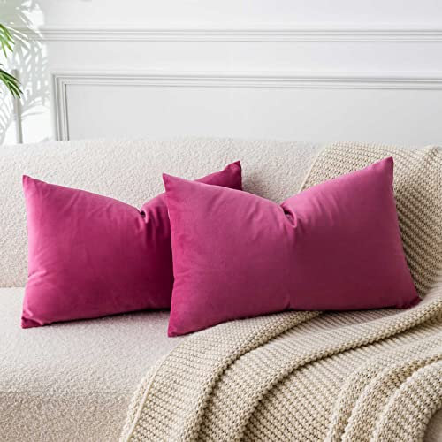JUSPURBET Housse de Coussin en Velours Rouge Rosé 40x60 cm Lot de 2 pour Salon Canapé Chambre à Coucher Décoratif Rectangulaire Doux avec Fermeture Éclair Invisible